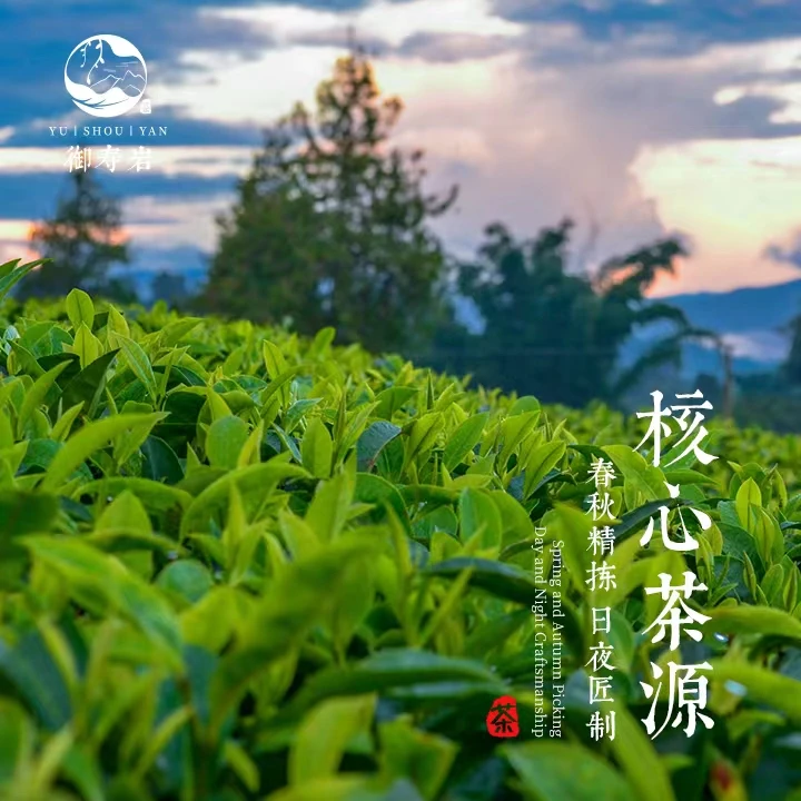 【茶礼套餐】依依清仓专属备用链接