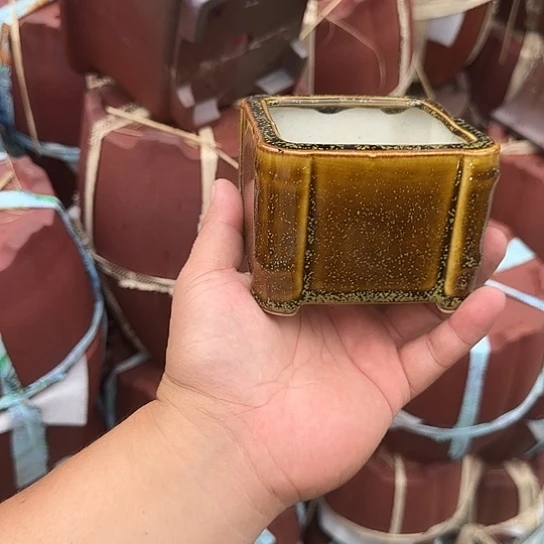 是一个不知名作家与著名导演兼电影