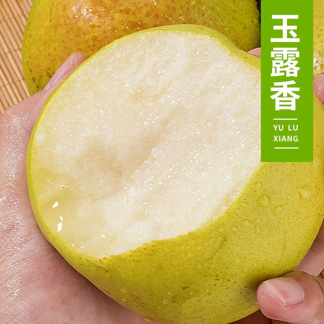 【九儿家】陕西玉露香梨