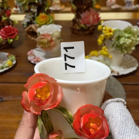 斯里兰卡咯哦哦旅途图