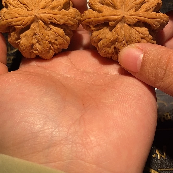 核桃手串/手链47 粗筋