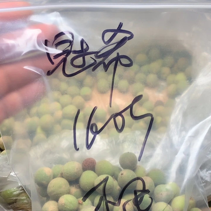 冠***希文玩核桃吊坠野生精品小核桃散籽