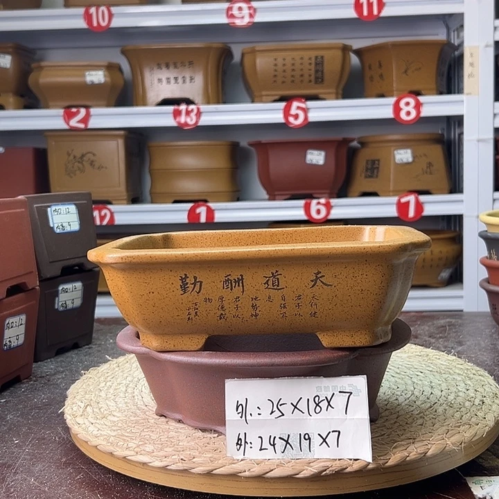 紫砂花盆蛇年大吉