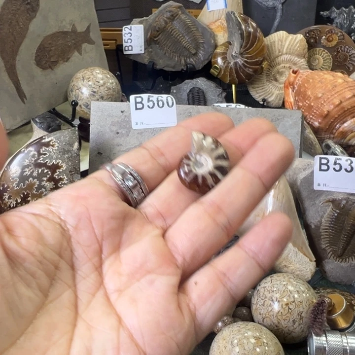 有机玻璃家居摆件家居摆件