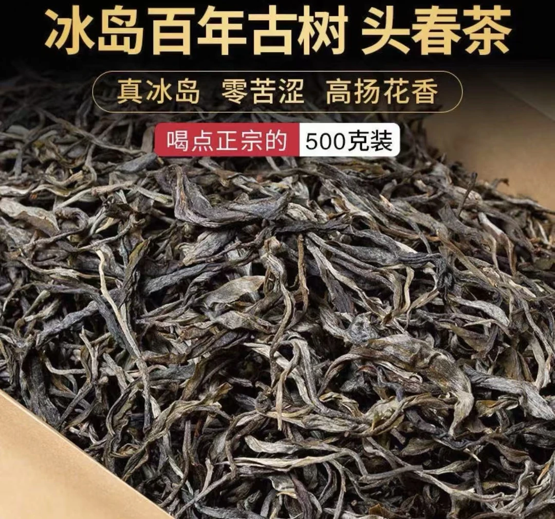 新人必入！冰岛老寨百年老树，清甜冰岛韵，小份试喝装