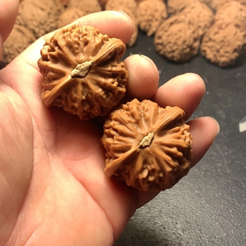 【闪购商品】黑*帅宫灯