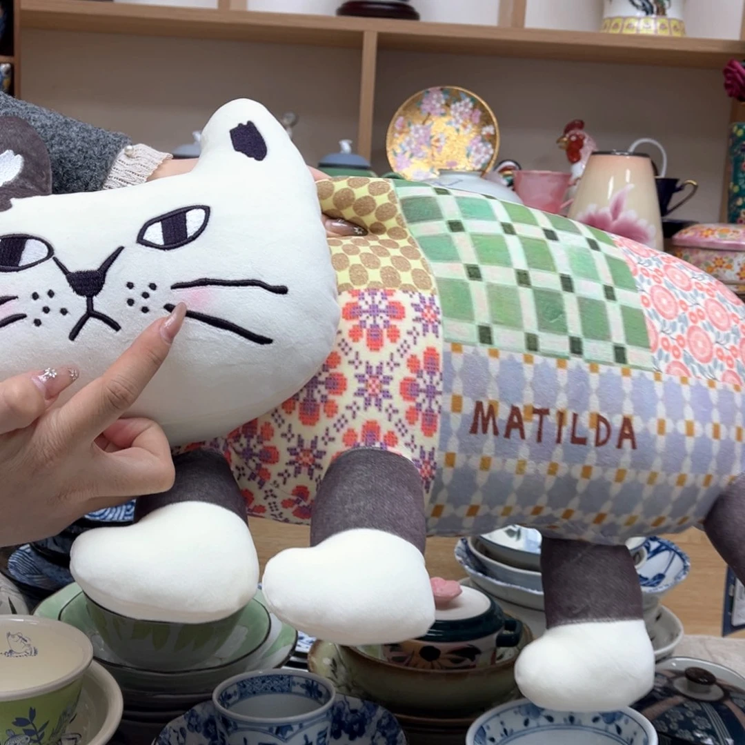 我的姐姐们好可爱