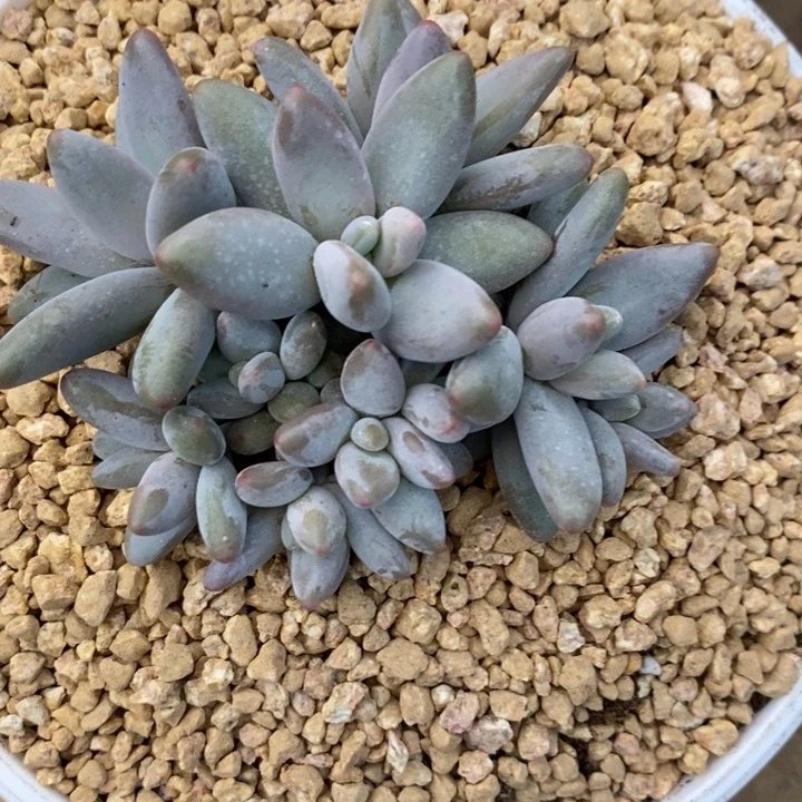 捂****888888888888888888