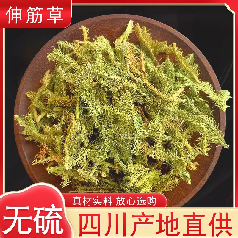 正品野生伸筋草无硫自然晾晒产地直供无添加舒筋草泡酒