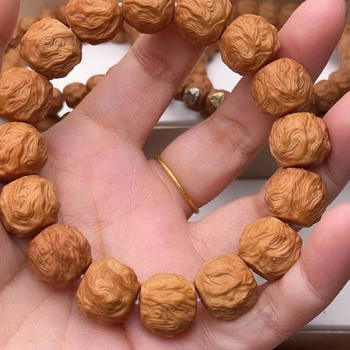 全品大龙蛇之变升级款15+