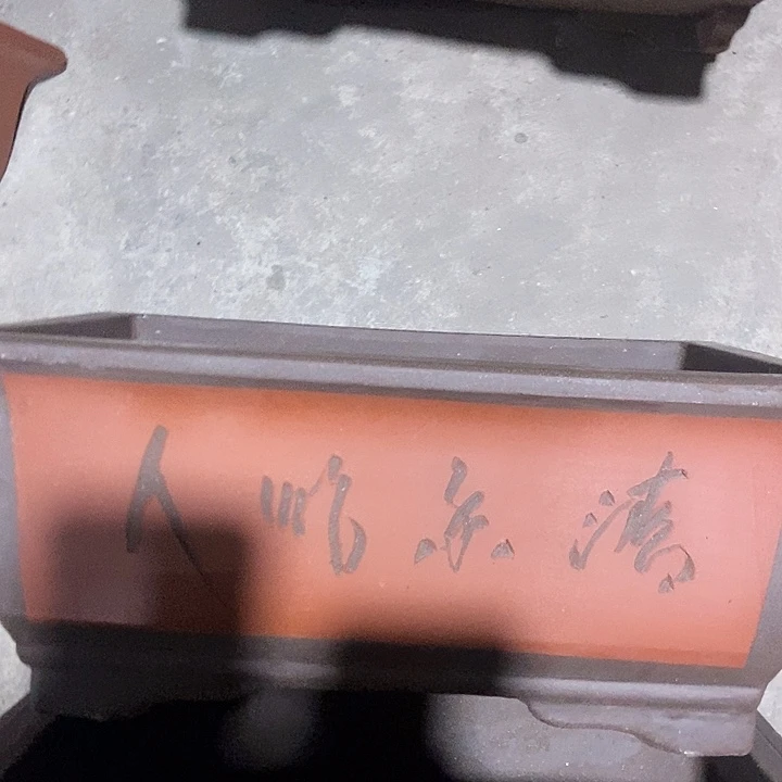 40花盆花盆花盆花盆花盆花盆