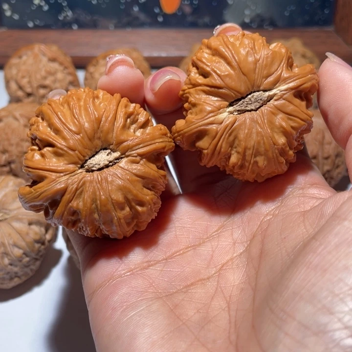 核桃手串/手链46白狮子