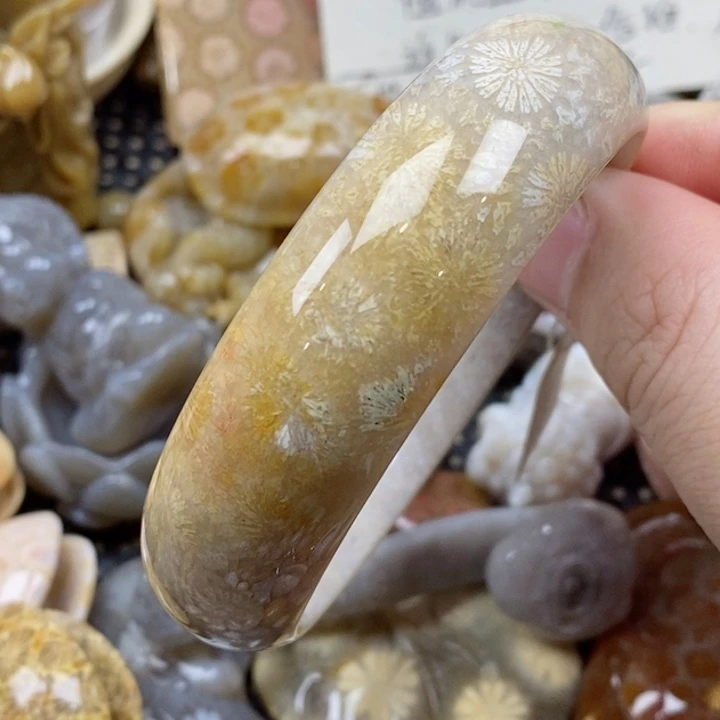 颈饰未镶嵌硅化珊瑚（珊瑚玉）