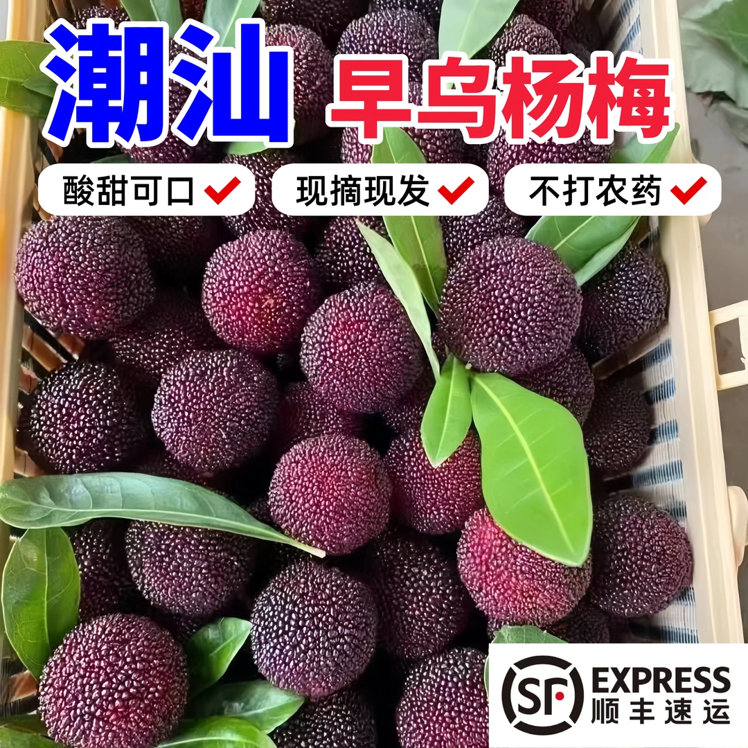 乡里阿蓉【大乌杨梅】新鲜现摘食用酸甜可口盒装当季水果顺丰包邮