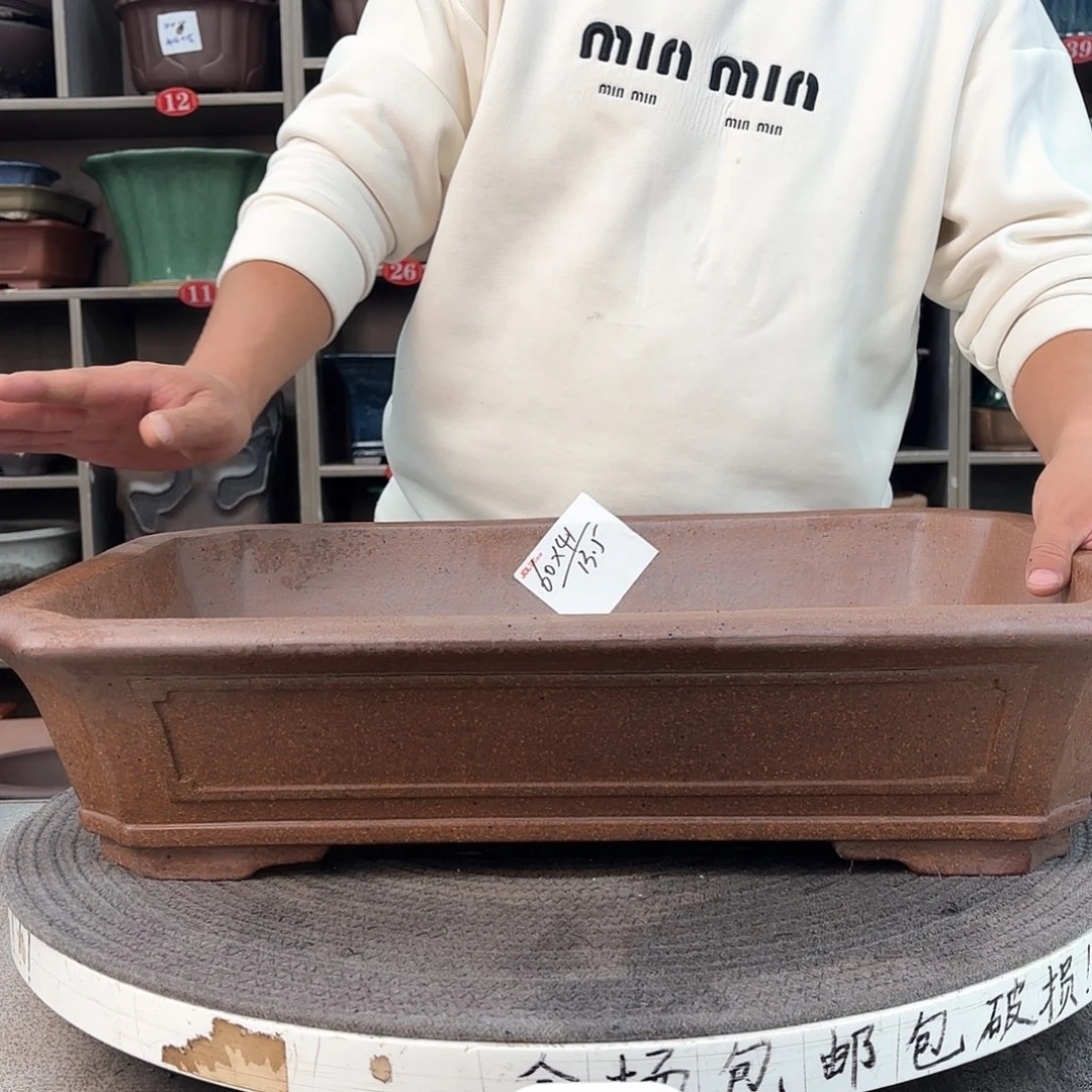 紫砂花盆藤****0紫砂的花是一种