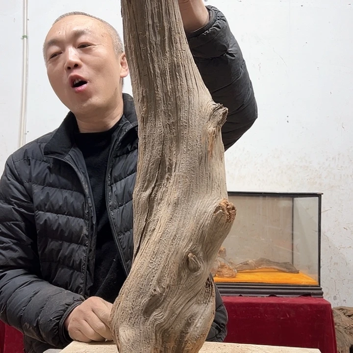 柏木柏*我们的生活也是如此