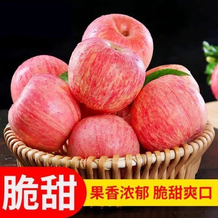 正宗烟台栖霞条纹红富士苹果脆甜多汁新鲜产地直发