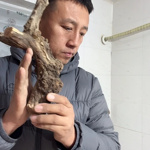 战***国柏木崖柏毛料的加工