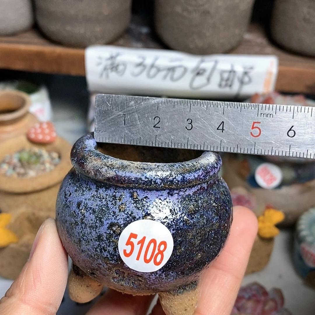 红陶拍5送一个小