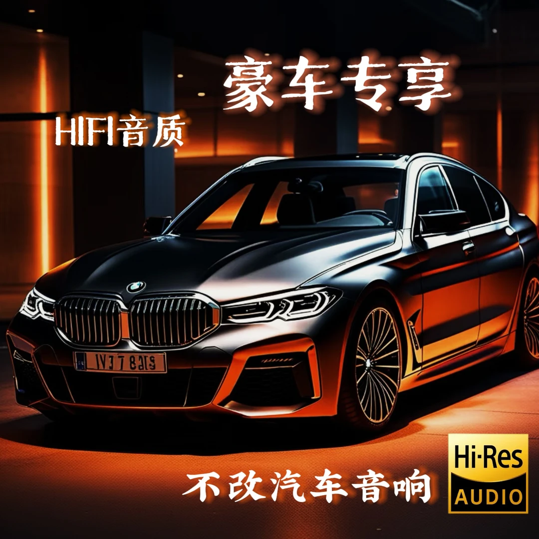 2025新款[wav无损]通用高音质USB车载音乐U盘