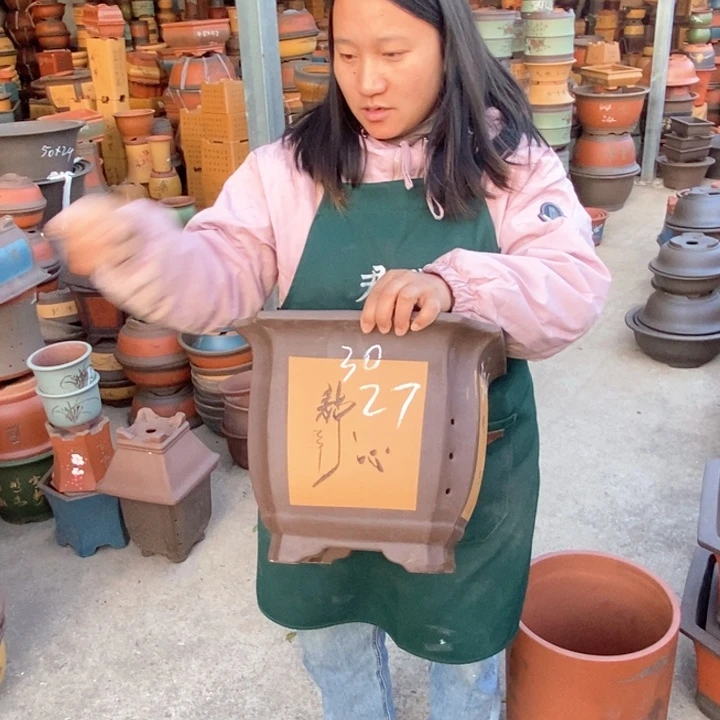 紫砂花盆紫砂花盆盆栽花卉苗木种植