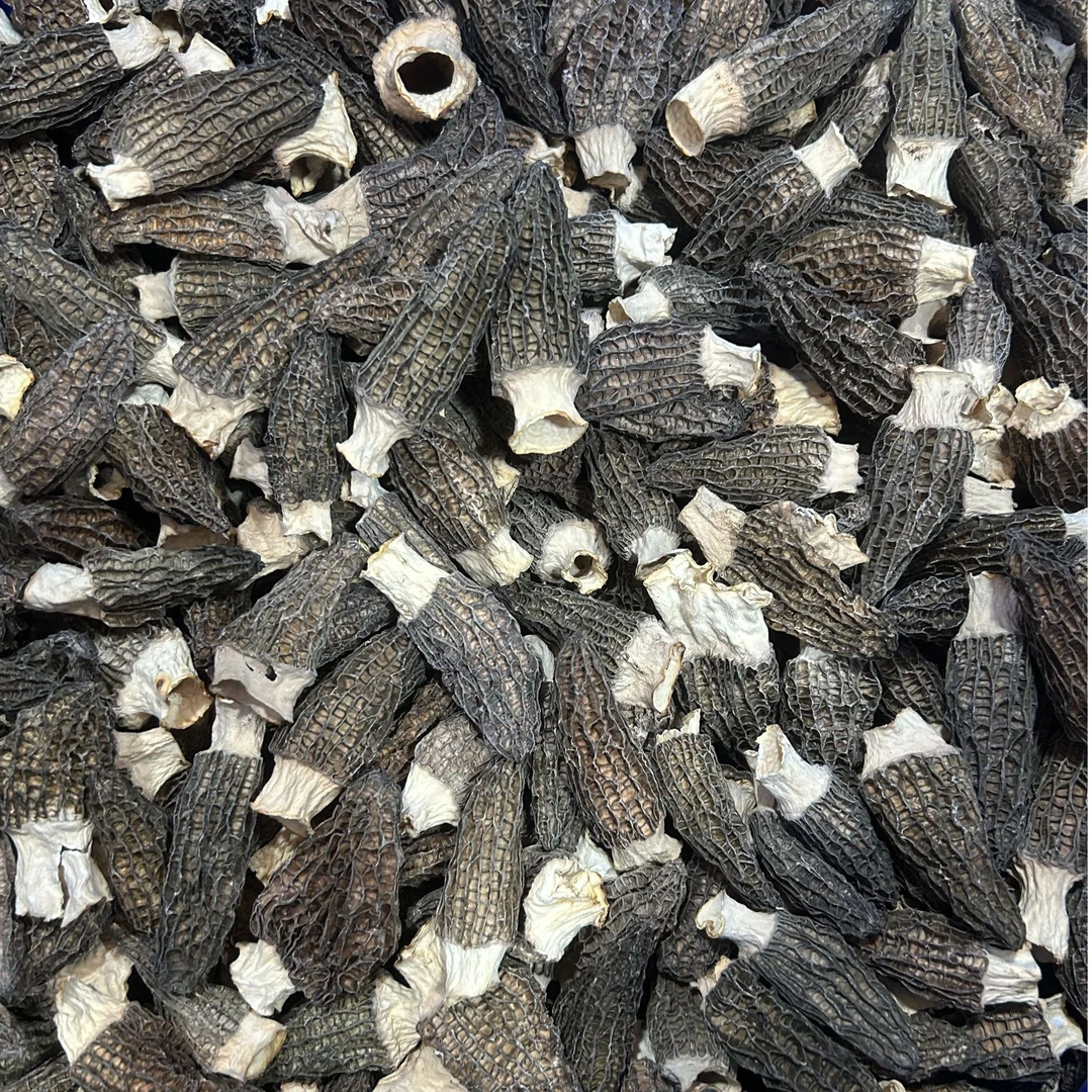 羊肚菌4-7公分肉厚纹理清晰头茬