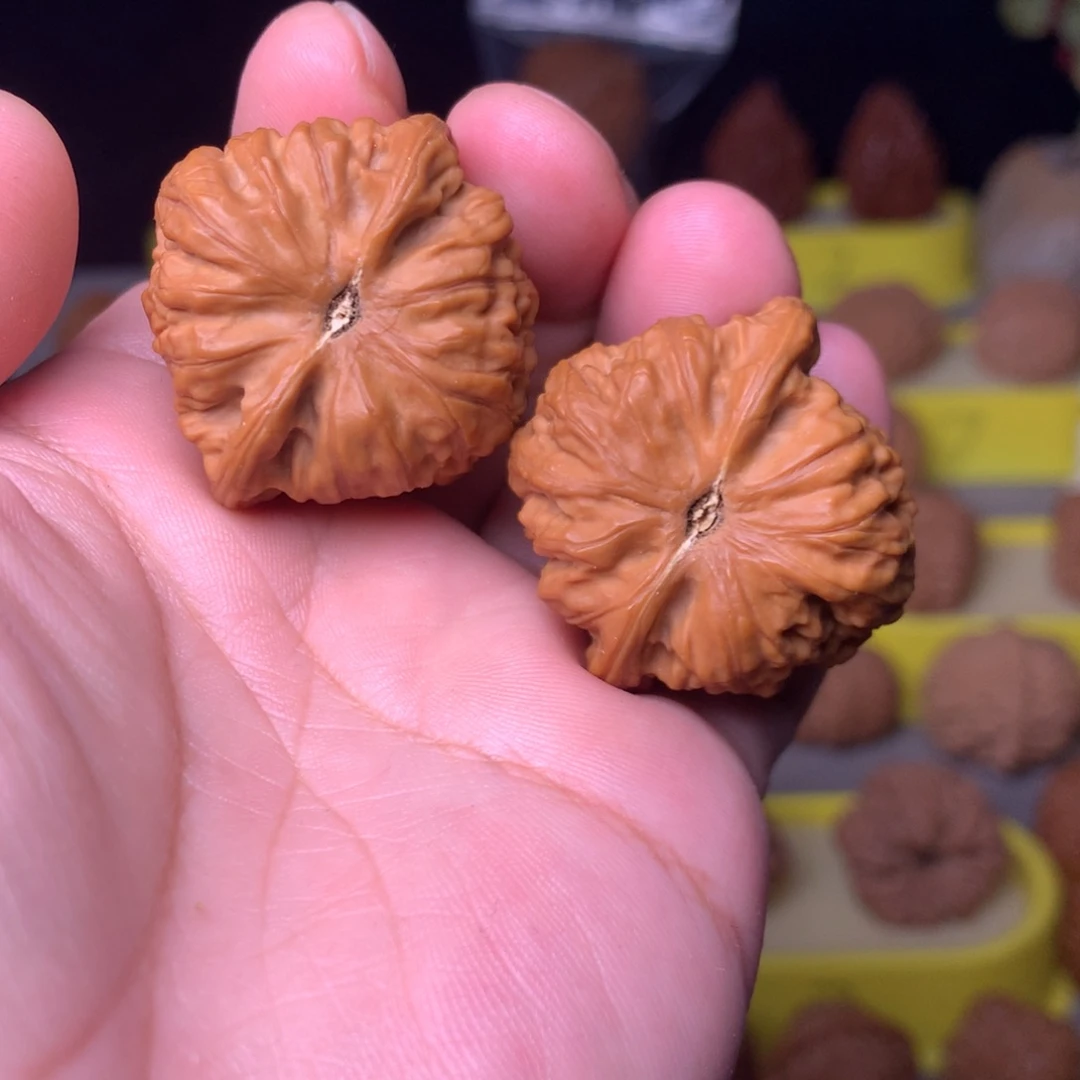 大叶紫檀（黑酸枝木类）凤凰山