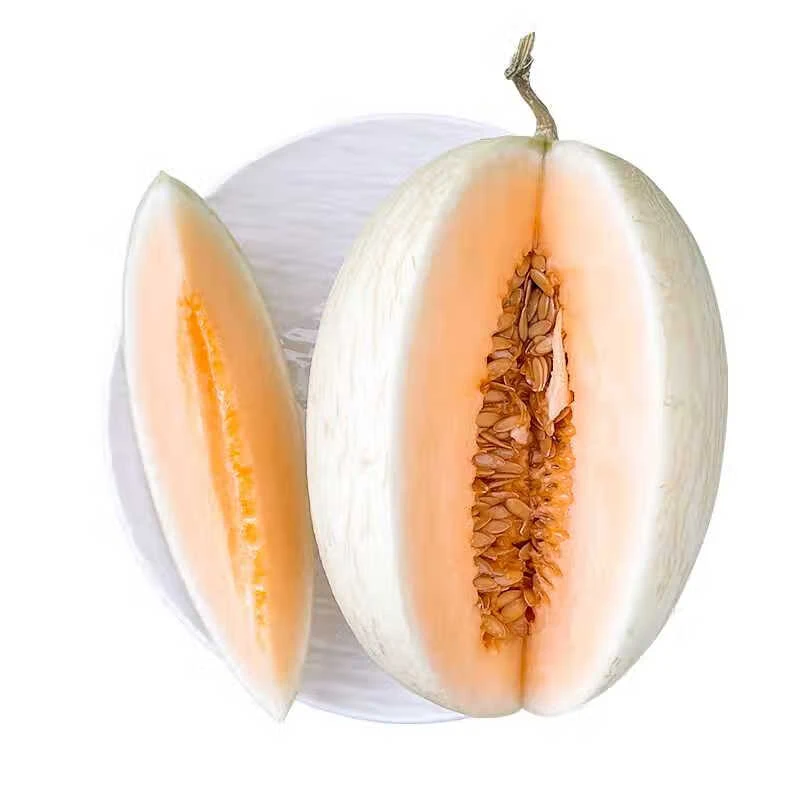 羊脂玉香妃蜜瓜单粒1.15kg
