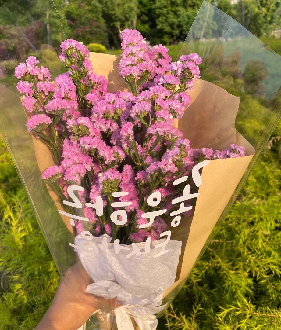 勿忘我  永生鲜花