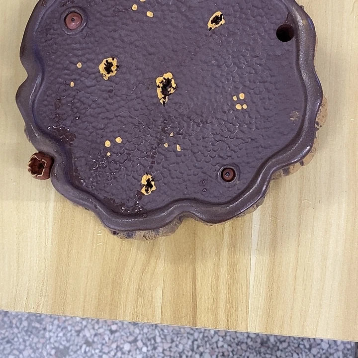 会***员紫砂紫砂紫砂紫砂