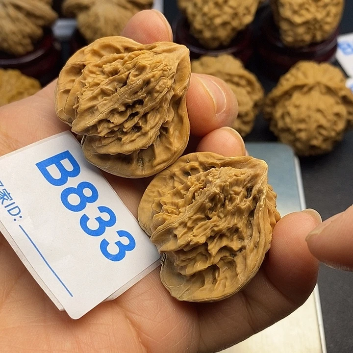 核桃盘山小鸟，00000