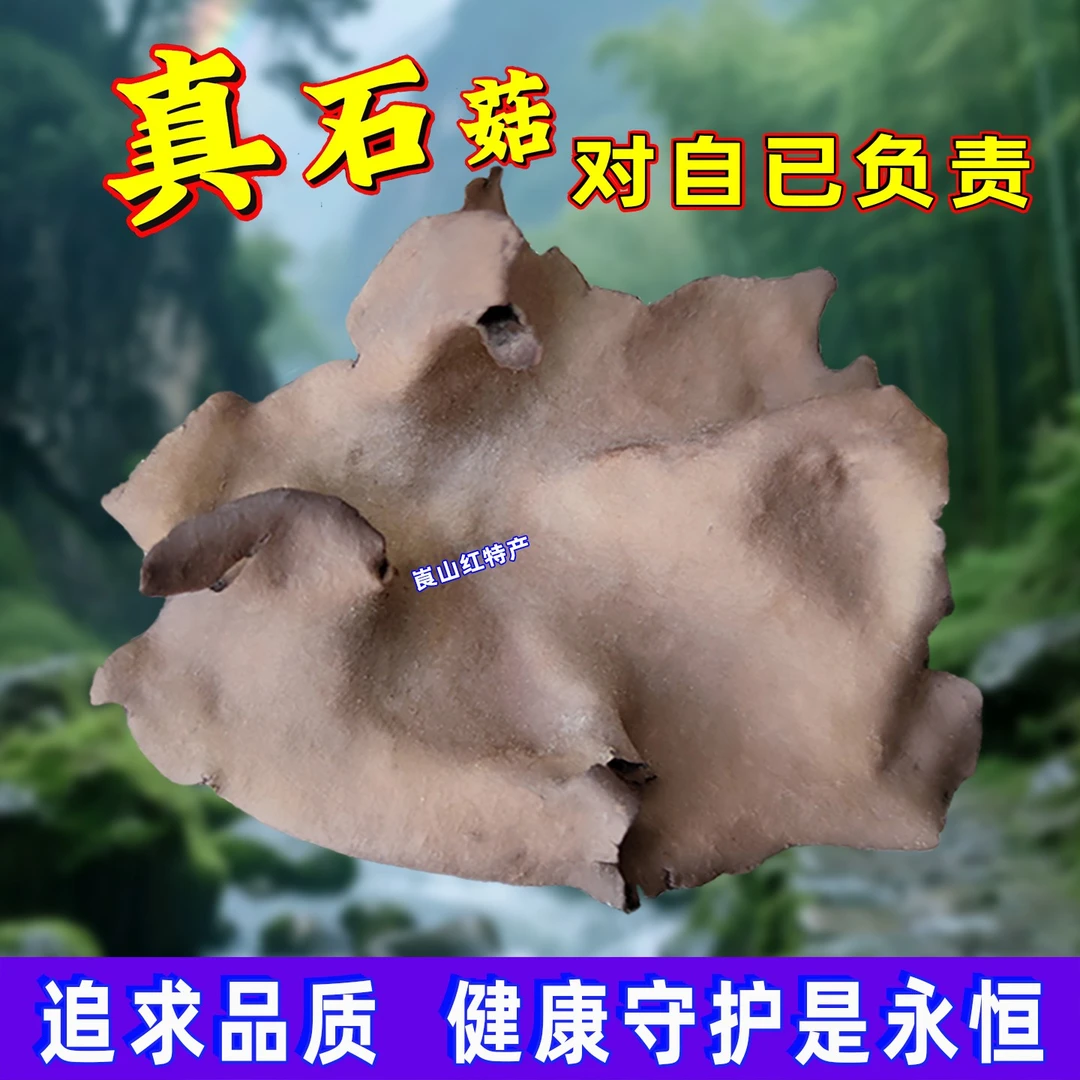 庐山石耳干货自摘营养爽口岩耳炖土鸡大片3至9cm食用菌正宗石木耳