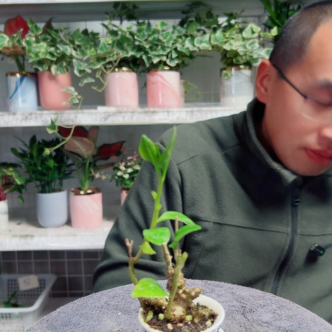 嘟***爸无花朵53