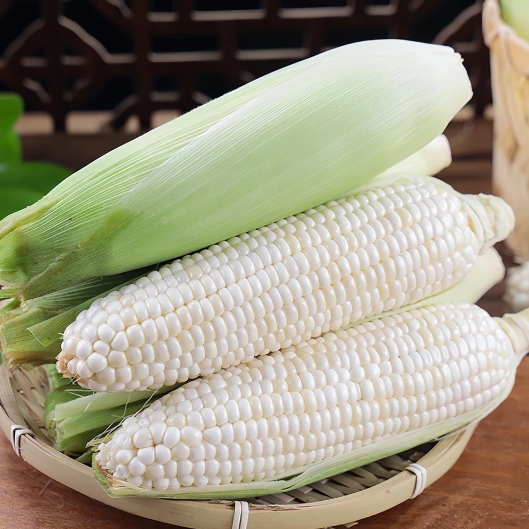 广西新鲜白糯玉米5斤装牛奶白糯玉米现摘现发甜糯新鲜玉米