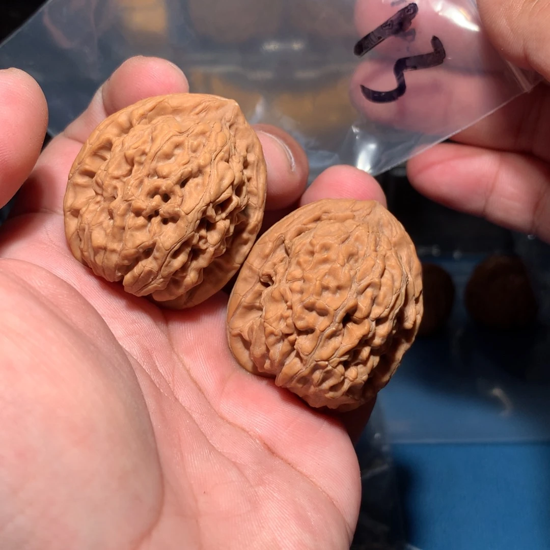 文玩核桃吊坠蚂蚁王 13