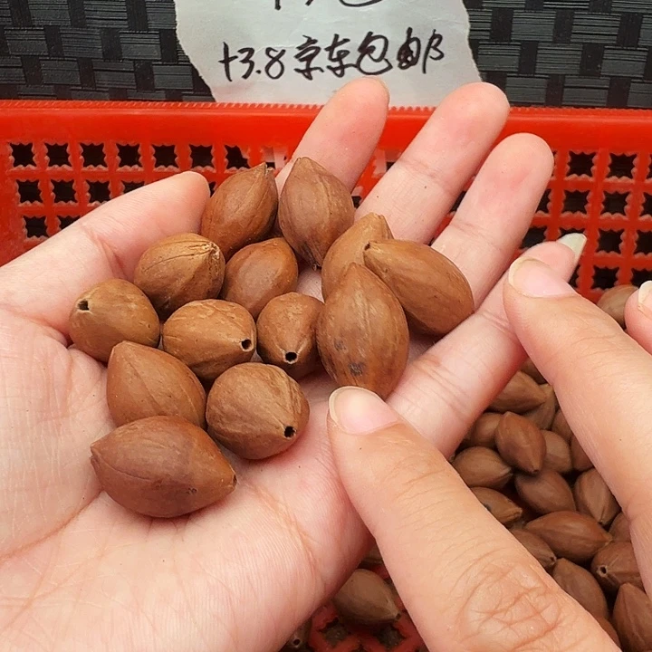 手串/手链橄榄核橄榄