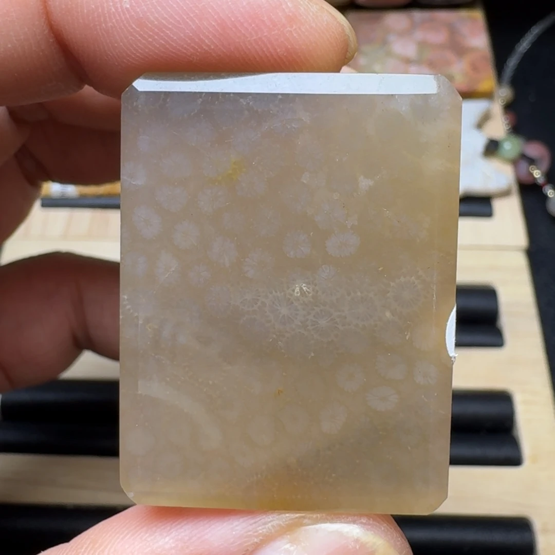 未镶嵌纯天然色有机玉石保真色硅化玉