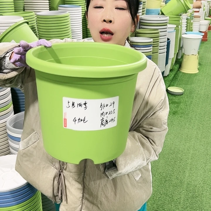 特价5号四季口29高24.5白色5只无托