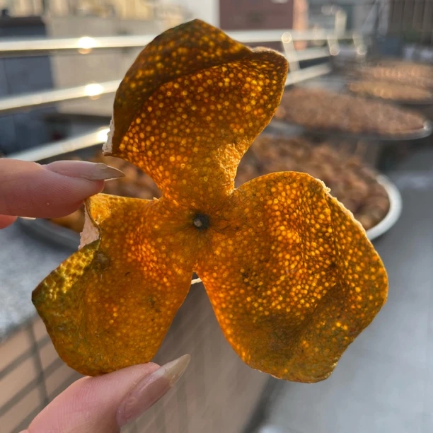 【精品收藏】2025年天马原枝十三年老树油皮仔大红油包满皮小带点绿