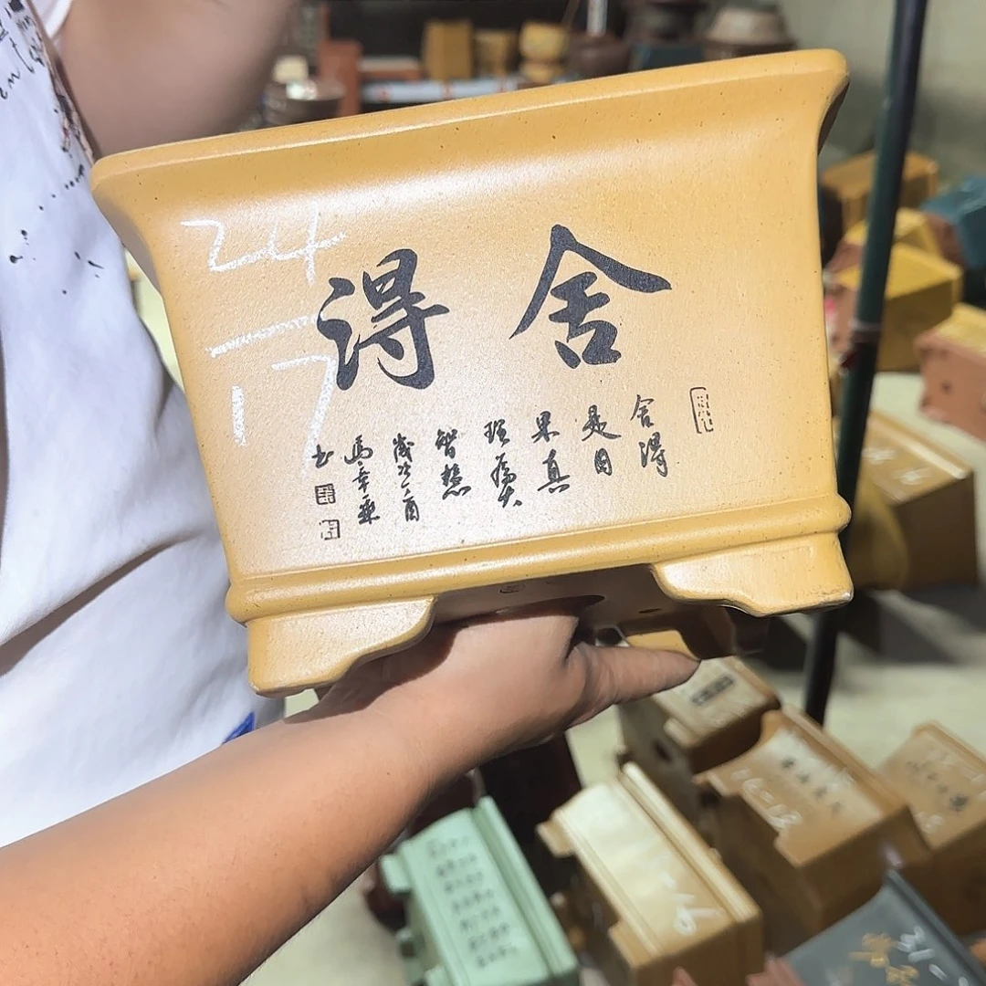 紫砂花盆这是我第一