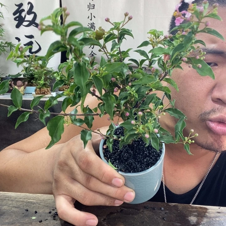 用***2无花朵退款拉黑拉黑55