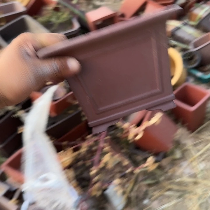 在一起也没有那么重要啦你