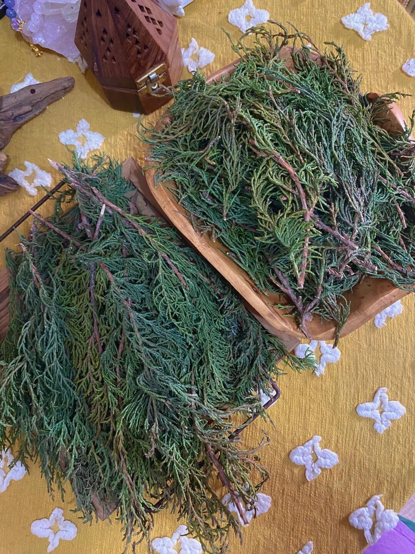 藏香柏青藏高原天然植物煨桑清理香薰家用香薰疗愈舒缓