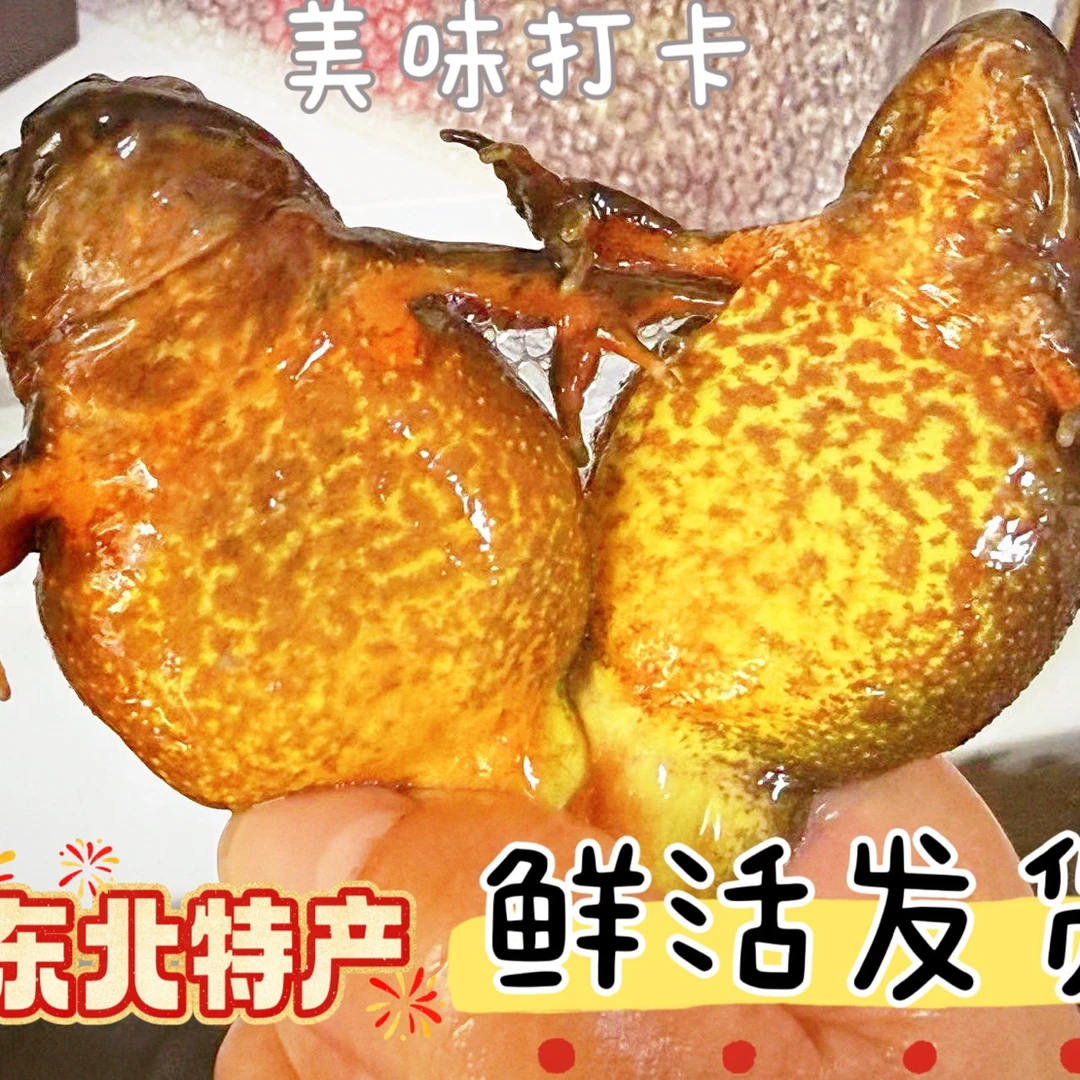 东北林蛙大母豹满油满籽包邮到家