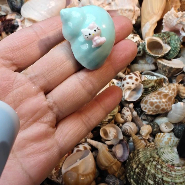 石材天然海螺贝壳寄居蟹替换壳手工壳