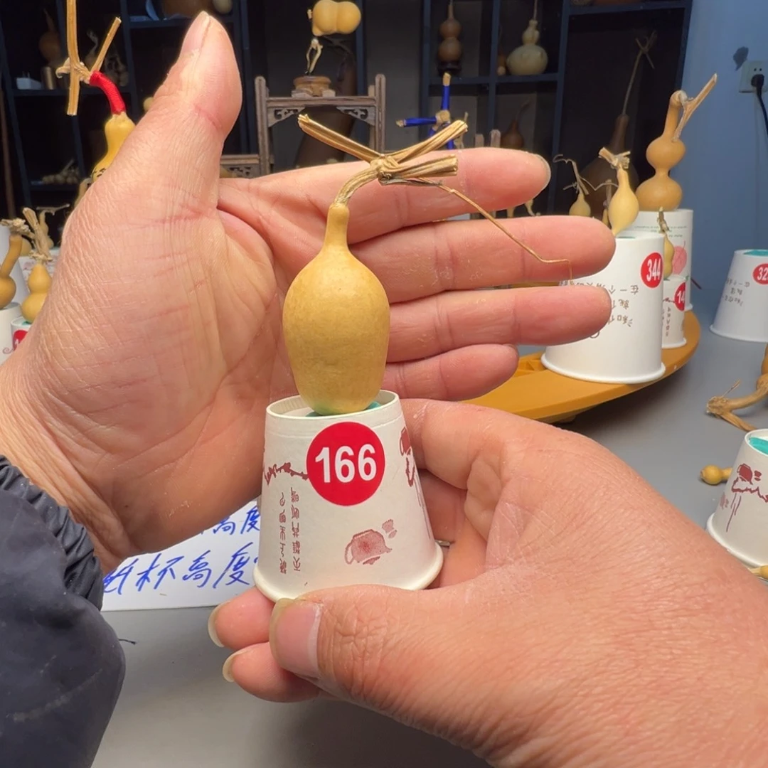 闪电购自助下单编号166