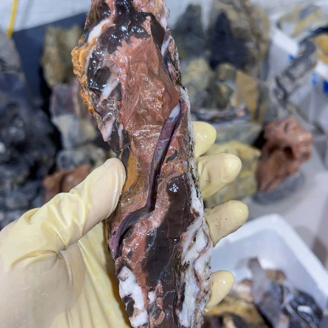 凌**家附石盆景一物一拍