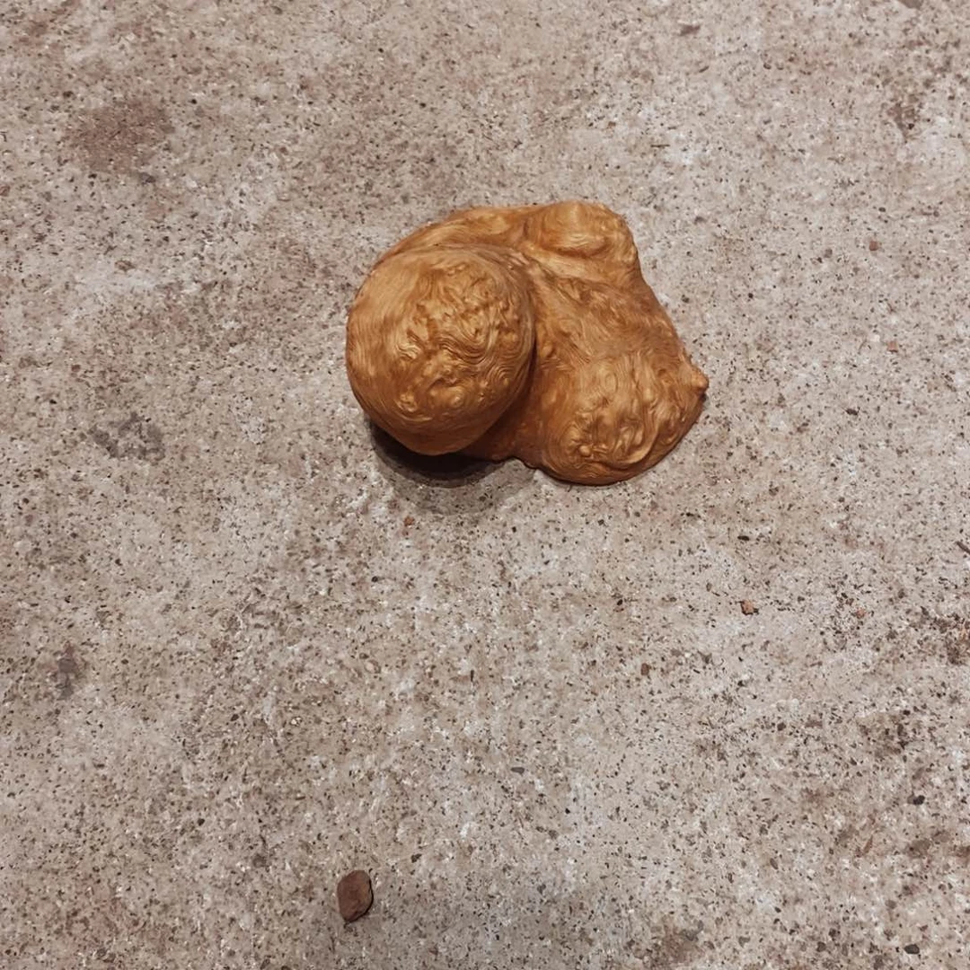 1***1荔枝木随形香炉木材一个