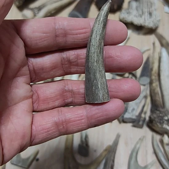 纯铜石英石原皮原色鹿角尖