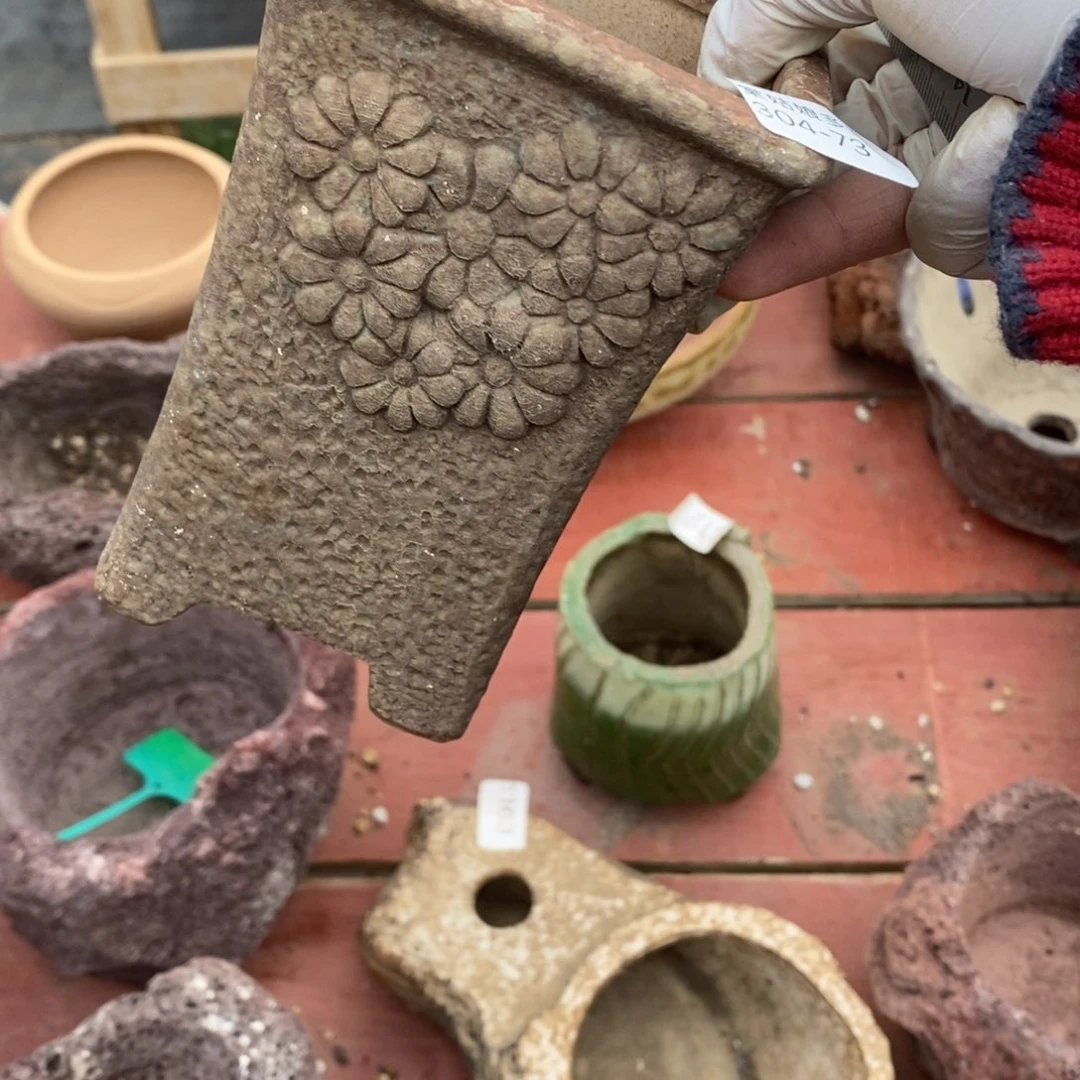 红陶往**烟73号多肉盆一个呀